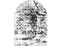 PLNT0255.jpg