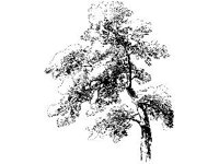 PLNT0254.jpg
