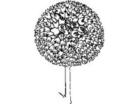 PLNT0231.jpg