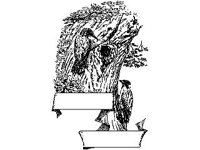 SCRLL016.jpg