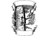 SCRLL014.jpg