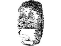 SCRLL009.jpg