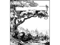 SCRLL119.jpg