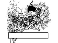 SCRLL114.jpg