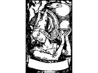 SCRLL113.jpg