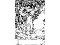 SCRLL092.jpg