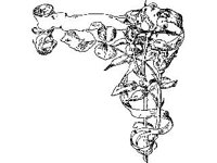 SCRLL031.jpg