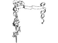 SCRLL025.jpg
