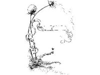 SCRLL017.jpg