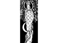 SPIRT118.jpg