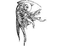 SPIRT103.jpg