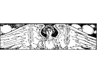 SPIRT022.jpg