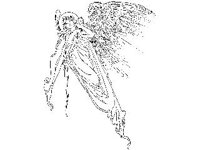 SPIRT021.jpg