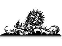 SPIRT670.jpg