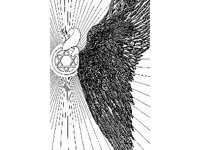SPIRT771.jpg