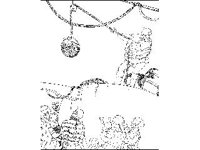 THING081.jpg