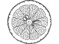 THING079.jpg
