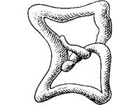 THING064.jpg