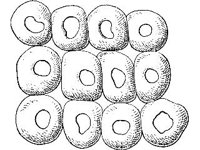 THING057.jpg