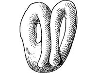 THING052.jpg
