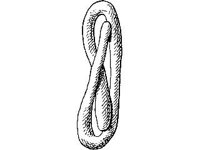 THING049.jpg