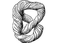 THING048.jpg