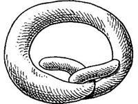 THING047.jpg