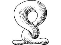 THING045.jpg