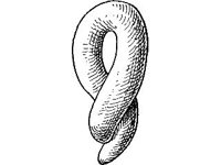 THING043.jpg