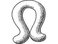 THING041.jpg