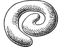 THING039.jpg