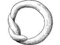 THING035.jpg