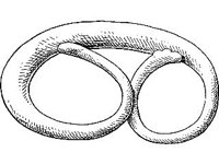 THING019.jpg