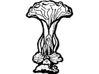 THING139.jpg