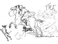 CVLZ4355.jpg