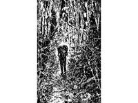 CVLZ4471.jpg