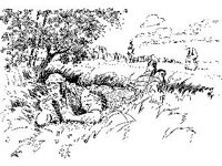 CVLZ4484.jpg