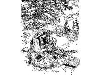 CVLZ4481.jpg