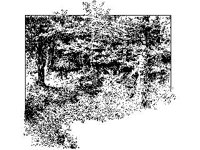 CVLZ4667.jpg