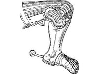 CVLZ4573.jpg