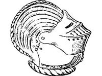 CVLZ4565.jpg