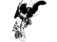 CVLZ4877.jpg