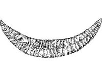CVLZ4981.jpg