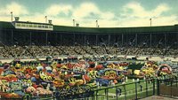 702303.jpg