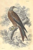705741.jpg