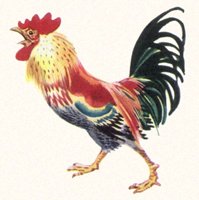709039.jpg