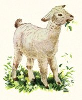 709036.jpg