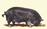 709028.jpg