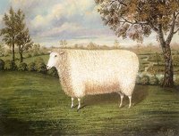 706581.jpg