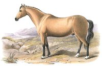 703943.jpg